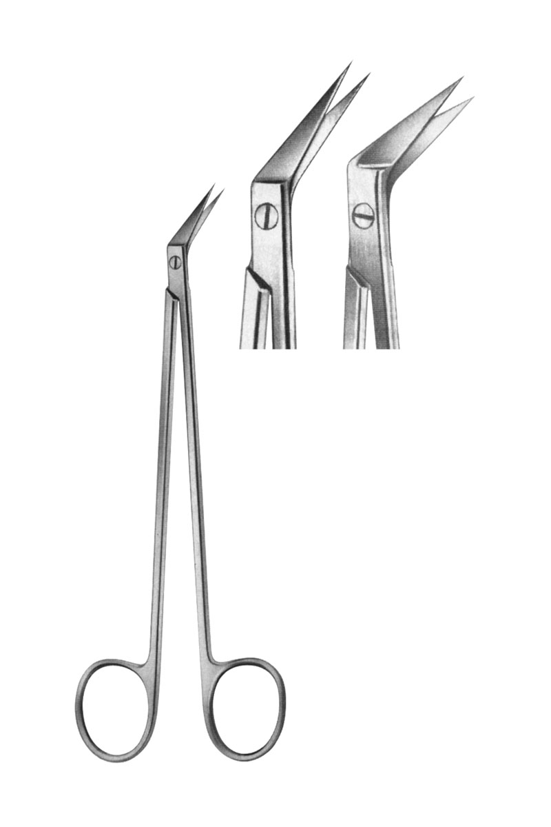 Scissors